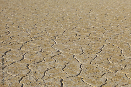 Thule Valley Hardpan (Ibex) Dry Lake Bed cracked mud.