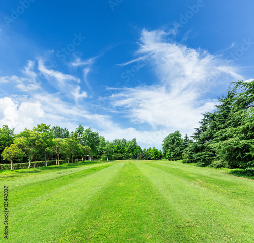green grass and trees on a golf field