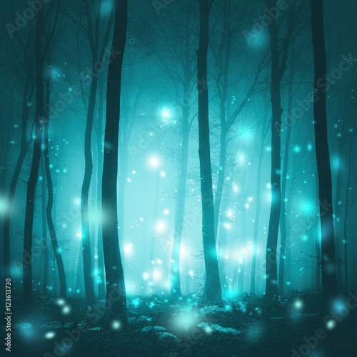 Magical foggy forest trees with artistic fireflies light background. Magic cyan blue colored fairytale woodland.