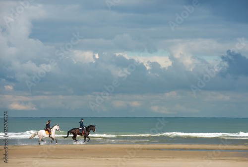 galop sur la plage hors saison