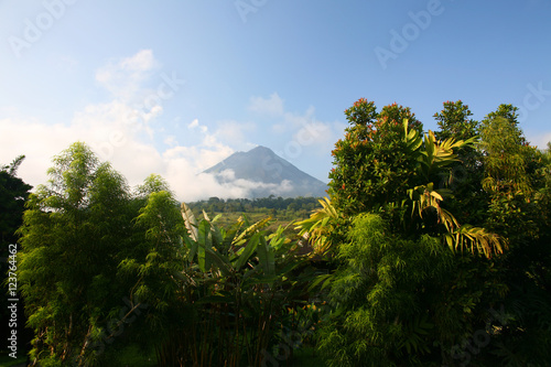 Volcan Arenal et foret vierge