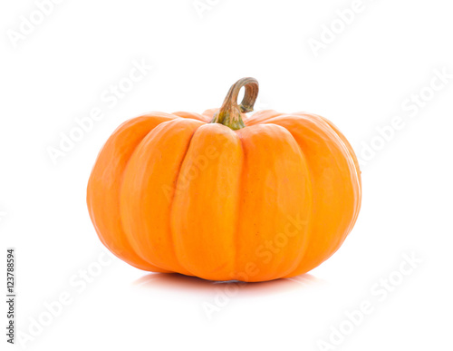 Studio shot of a nice ornamental pumpkin on pure white backgroun