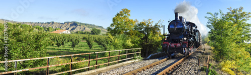 Treno a vapore tra i campi coltivati