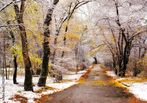 First snow in a city park