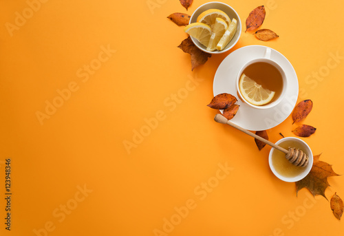 autumn healthy tea on bright background