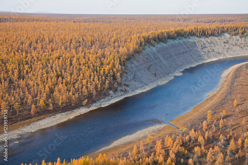 Siberian river and larch taiga in the fall