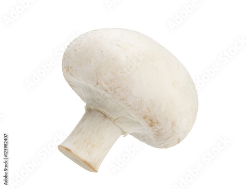 One Mushroom champignon isolated on white background, with clipping path