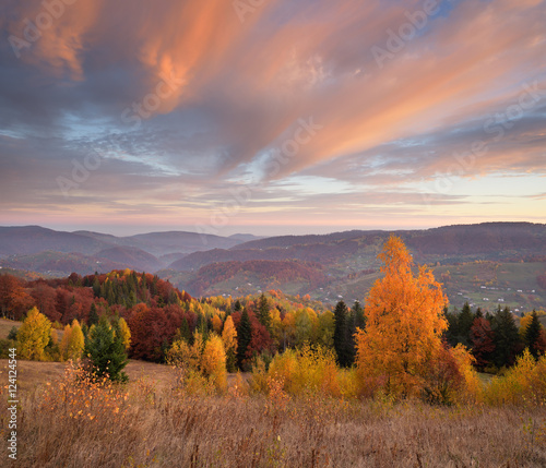 Autumn landscape with a beautiful forest in the mountains