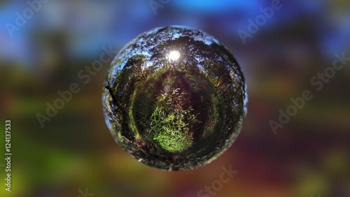 Forest and Sunbeam in Sphere