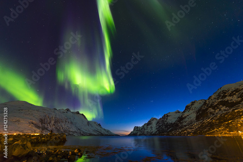 The polar lights in Norway,Tromso ,Ersfjord