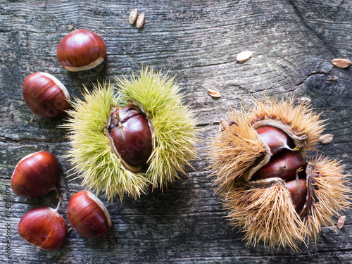 Chestnuts