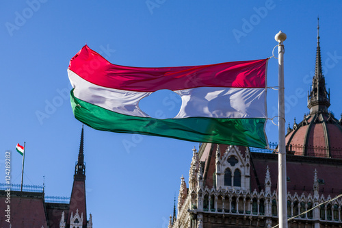 Hungarian Revolution of 1956's flag before Hungarian Parliament