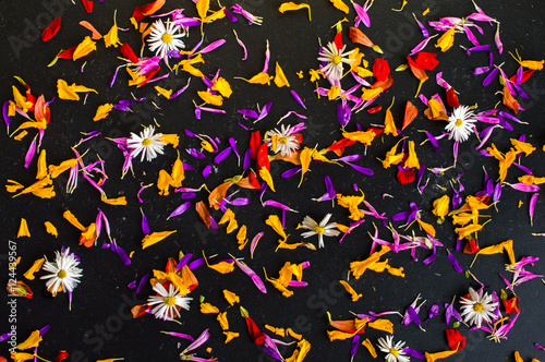 Dried petals scattered. On a black background.Top view. Flat lay.