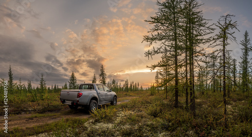 Car in the forest