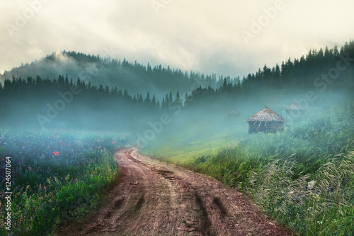 beautiful village with foggy mountain and green nature in bangladesh