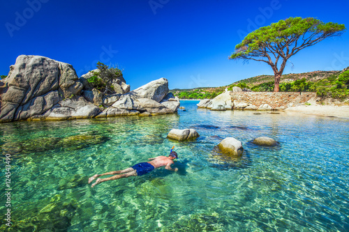 Young man snorkeling in green lagoon with pine tree on Palombaggia beach, Corsica, France, Europe.
