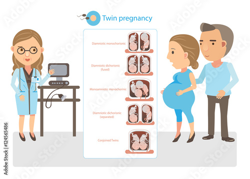 Twin Pregnancy doctor explained twin pregnancy. Cartoon vector illustration.