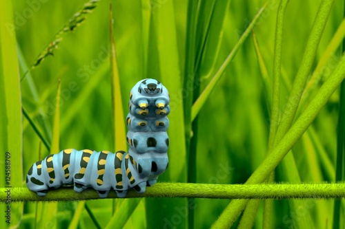 caterpillar 3D