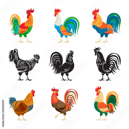 Roosters and rooster silhouettes isolated on white background. Chickens farm cockerel set vector illustration