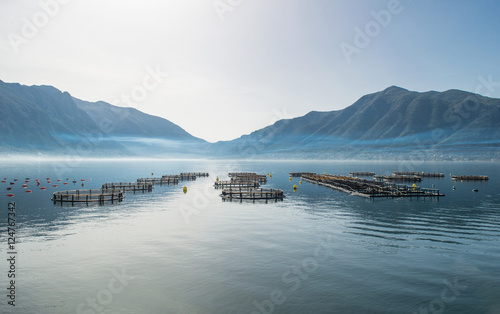 Cages for fish farming