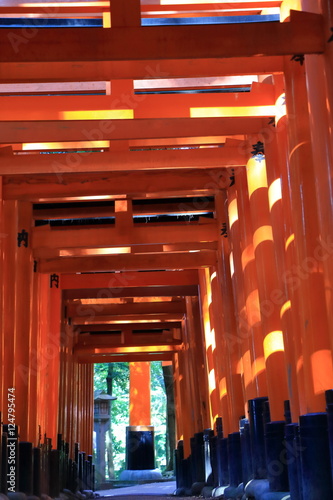 Fushimi Inari Taisya shrine Kyoto Japan