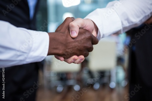 Businessman shaking hands with colleague