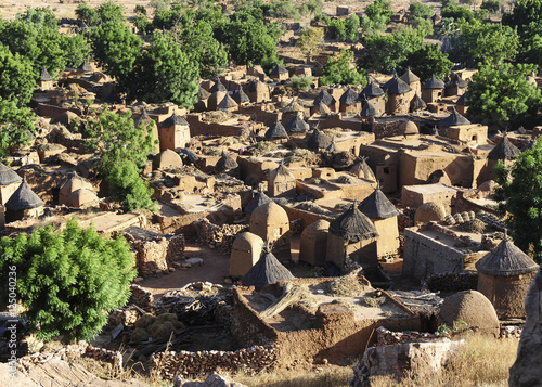 in the dogon country