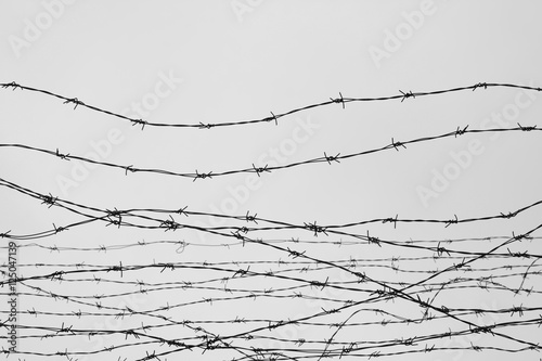 Fencing. Fence with barbed wire. Let. Jail. Thorns. Block. A prisoner. Holocaust. Concentration camp. Prisoners. Depressive background.