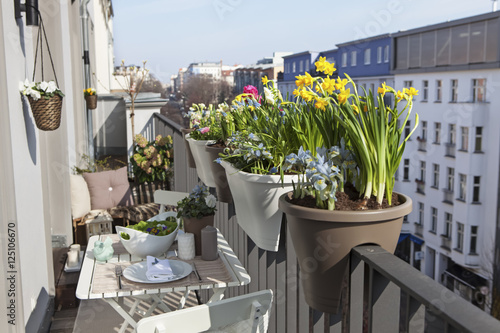 potted spring flowers on a sunny balcony in the city