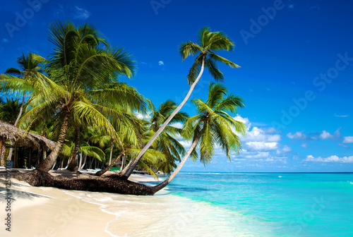 Tropical beach in caribbean sea, Saona island, Dominican Republic