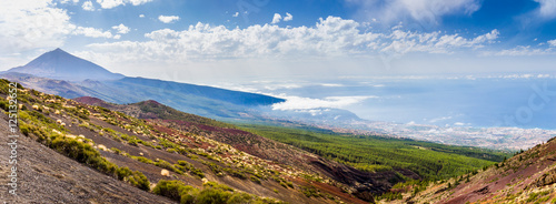 Teide National Park, Tenerife, Canary islands, Spain