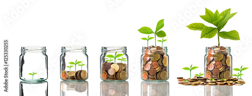 Gold coins and seed in clear bottle on white background,Business