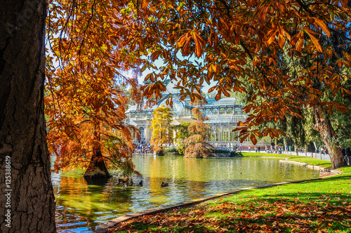 Palacio de Cristal en otoño. Parque del Retiro, Madrid