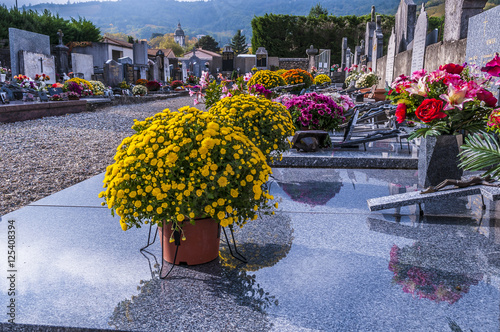 Toussaint/cimetière fleuri