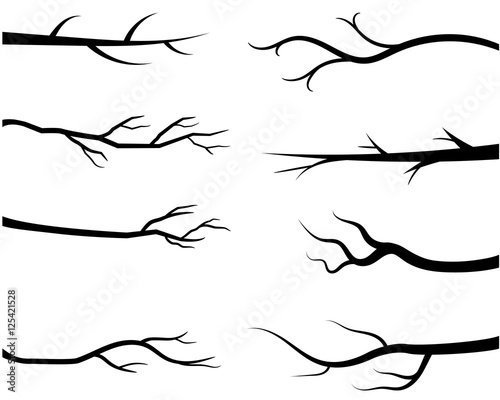 Bare tree branch silhouettes, Black branches without leaves