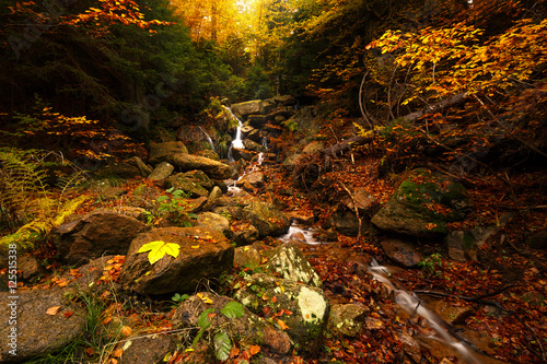 Kleiner Bach läuft durch Herbst Wald