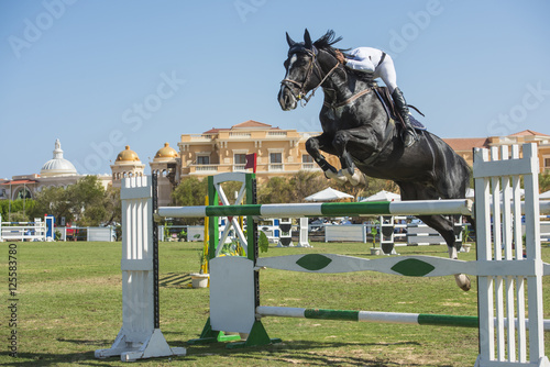 Horse and rider jumping in equestrian competition