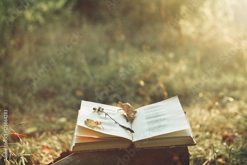 Vintage book of poetry outdoors