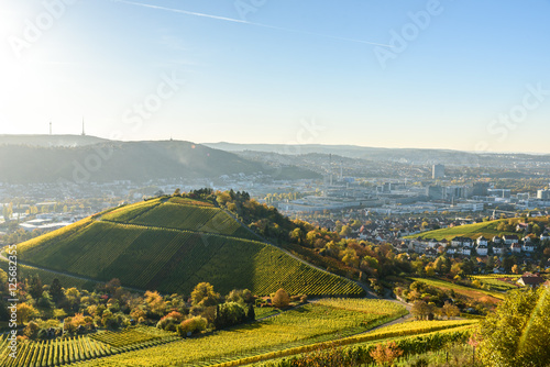 Vineyards at Stuttgart - beautiful wine region in the south of Germany