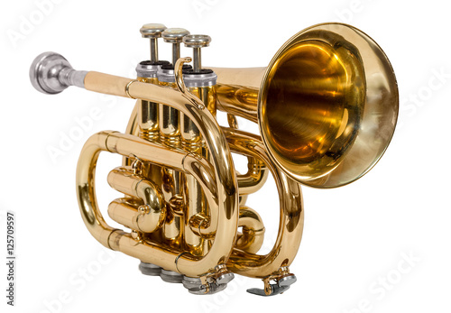 classical wind musical instrument cornet isolated on white background