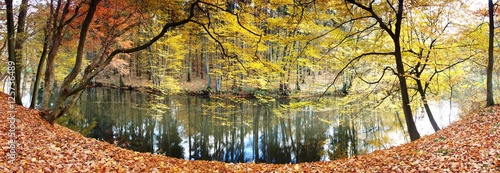 panorama rzeki jesienią