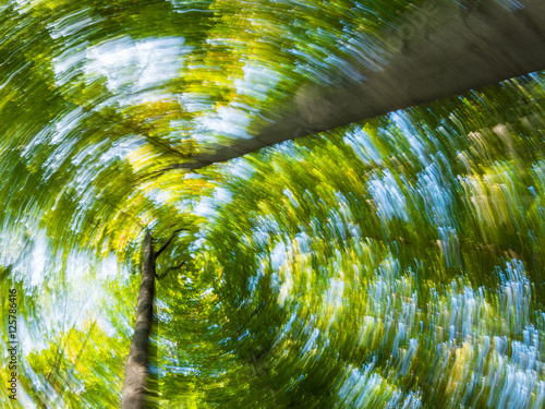 Abstract motion blur of trees in a summer forest.