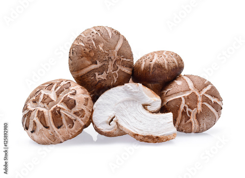 Shiitake Mushrooms on white background