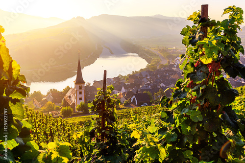 Sonnenaufgang bei der Moselschleife Bremm