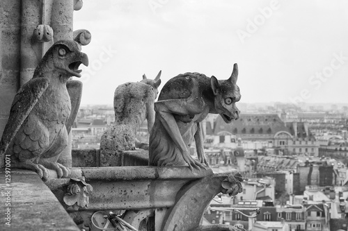 Close-up of Chimeras on the top of Notre Dame de Paris