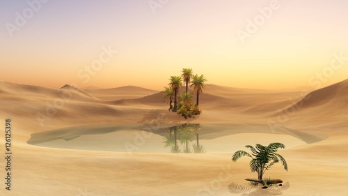 Oasis in the desert sand. Palm trees and a lake. 