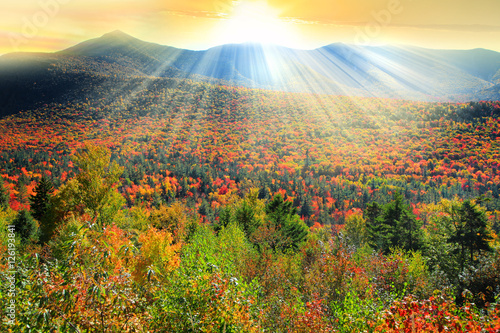 White mountain national forest in autumn time