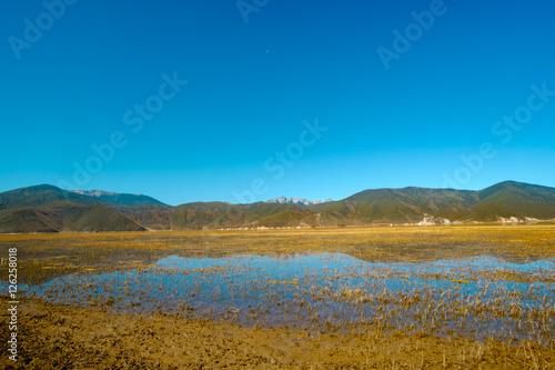 grassland,pasturage, at Npahai scenic area, Yunnan, China