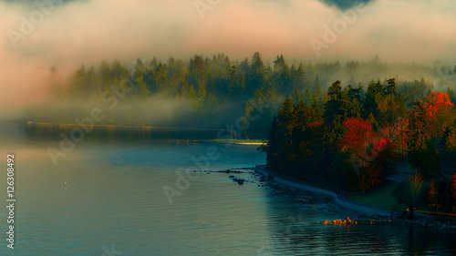 Stanley park foggy morning,stanley park,English bay.Vancouver.BC ,Canada