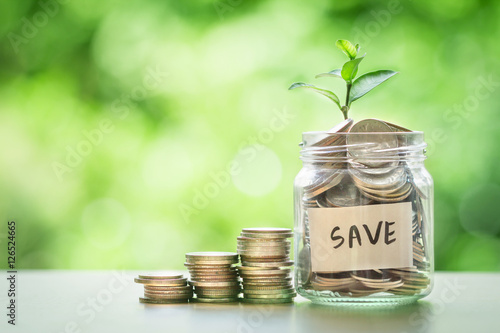 Plant growing in Coins glass jar for money saving investment